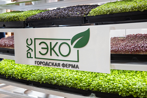 Городская ферма «РусЭко» представила свой первый урожай микрозелени на крупнейшем форуме для поваров «Завтрак Шефа»